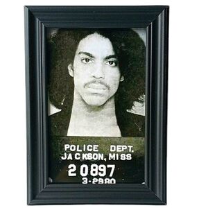 Prince mugshot music retro 70s 80s vintage Rock Purple rain Rock star icon.pop